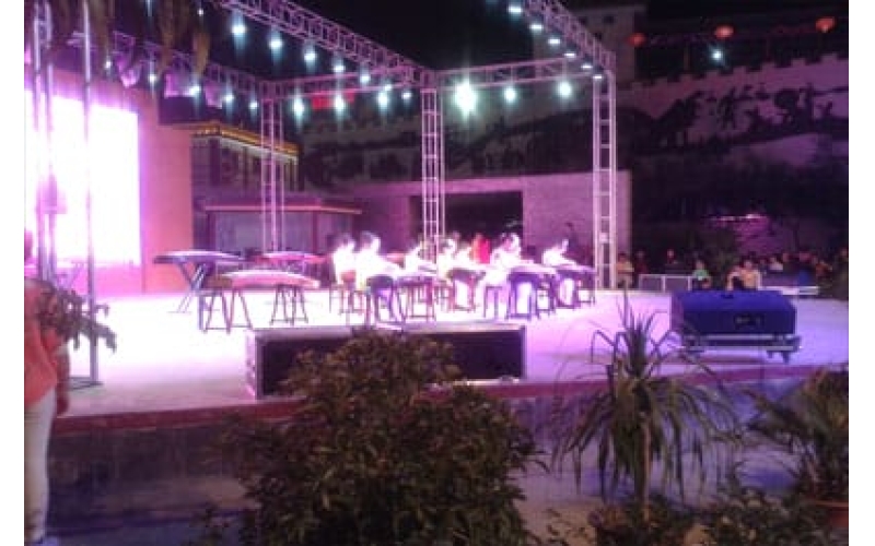 律動青春 放飛夢想 敦煌陳思思古箏藝?！坝瓏鴳c”專場文藝演出